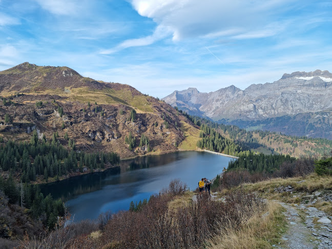 Luftseilbahn Kies-Mettmen AG