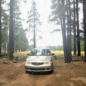 Fort Valley Trailhead - photo 19