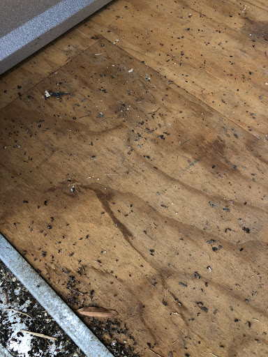 Truck Rental Agency «U-Haul Moving & Storage», reviews and photos, 911 W Gate City Blvd, Greensboro, NC 27403, USA