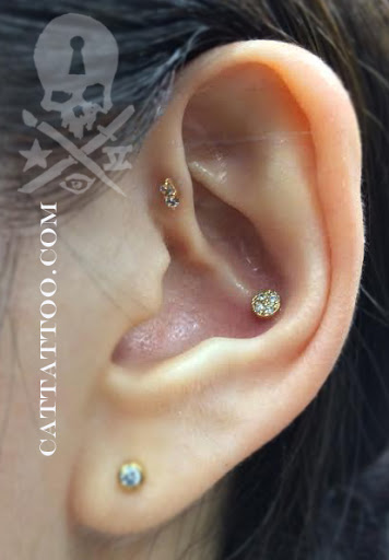 Explore rose vine tattoo ideas, creative tattoo ideas in Addison, available at Cat Tattoo