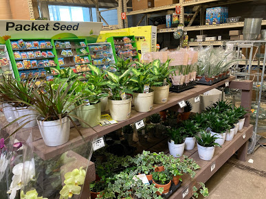 Home Improvement Store «The Home Depot», reviews and photos, 1300-1320 Corporate Dr, Westbury, NY 11590, USA