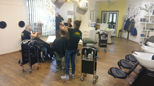 Friseursalon Roswitha Diermayr In Saxen