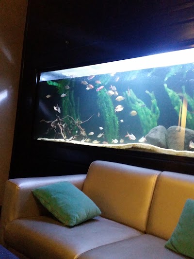 Photos of Zodiac Cafe & Restaurant