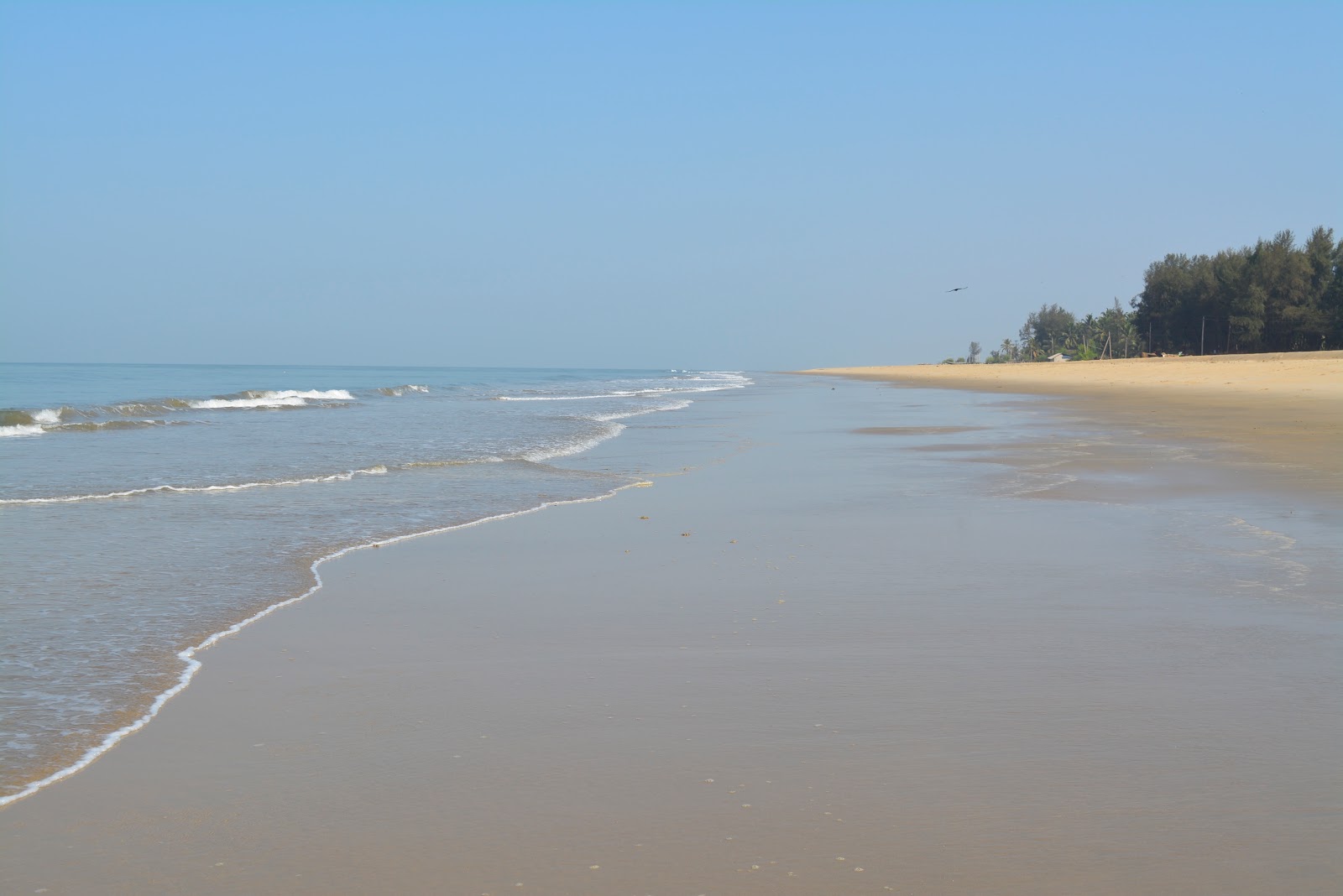 Photo de Pavinkurva Beach avec l'eau turquoise de surface