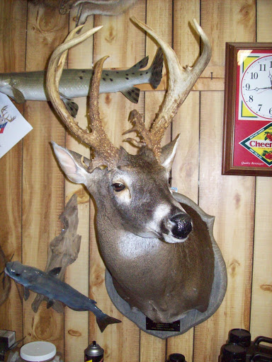 Southern Firearms and Taxidermy