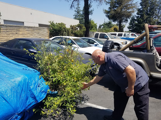 Auto Repair Shop «Los Gatos Auto Service, Inc.», reviews and photos, 1460 White Oaks Rd, Campbell, CA 95008, USA