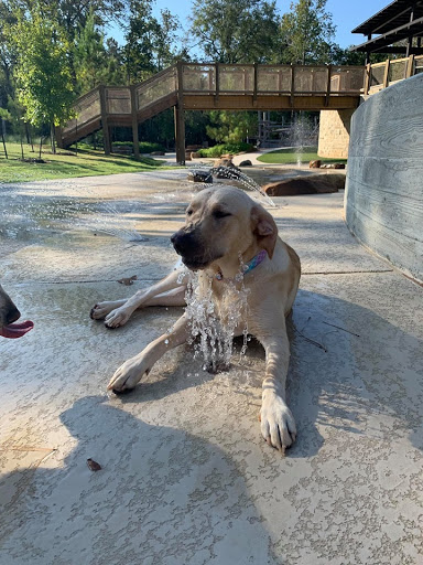 Insurance Agency «Sean Meyers Insurance Services, LLC», reviews and photos