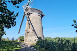 Bidston Windmill image