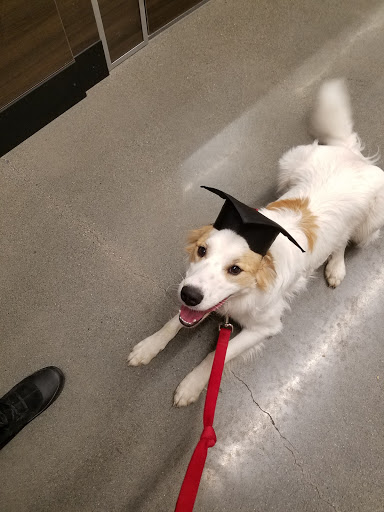 Pet Store «PetSmart», reviews and photos, 14903 4th Ave SW Ste 200, Burien, WA 98166, USA