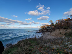 Blackwell Beach'in fotoğrafı çok temiz temizlik seviyesi ile