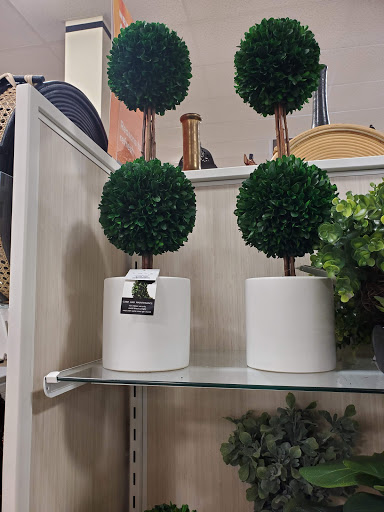 Shopping Mall «Coralwood Shopping Center», reviews and photos, 2301 Del Prado Blvd S, Cape Coral, FL 33990, USA