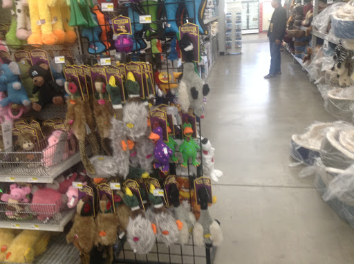 Pet Supply Store «Pet Club Hayward», reviews and photos, 27451 Hesperian Blvd, Hayward, CA 94545, USA