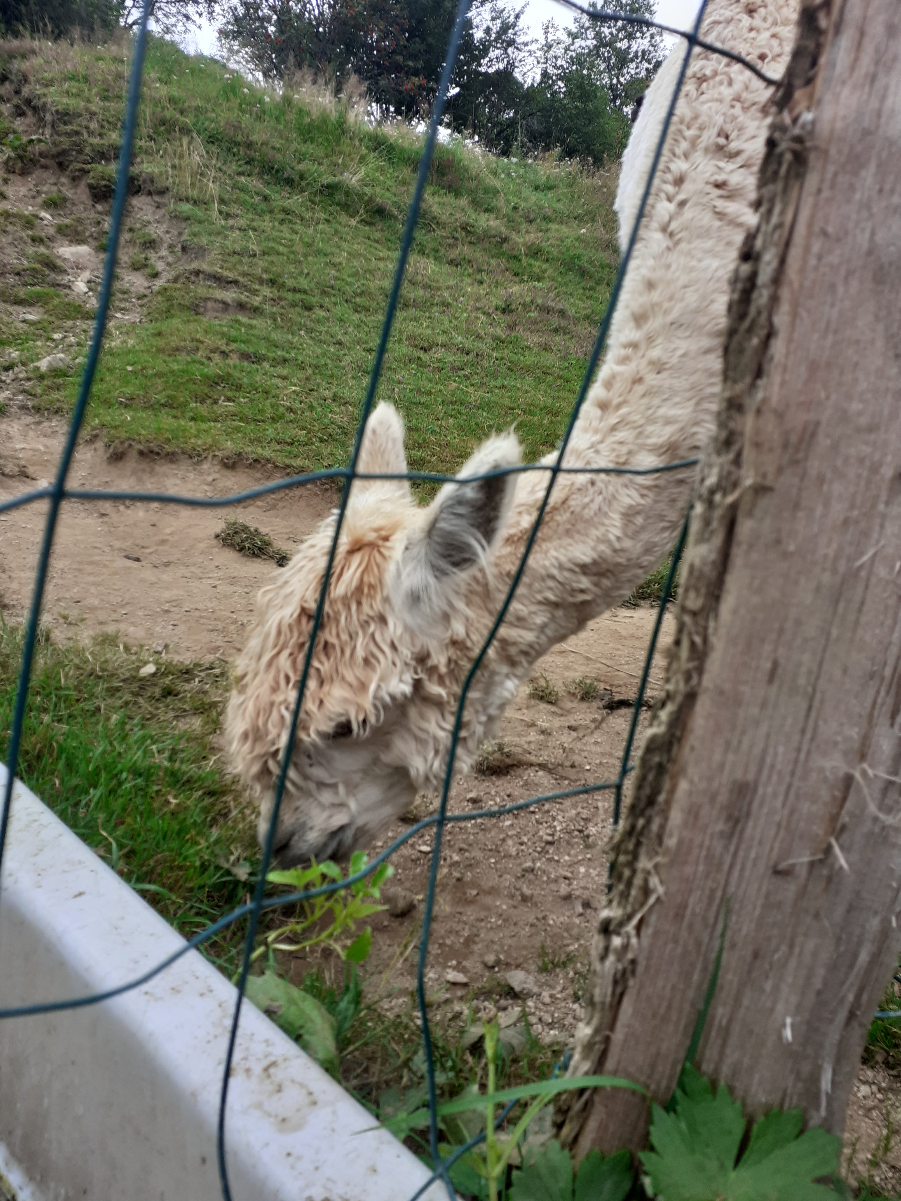 Photo n° 2 de l'avis de Reynald.a fait le 16/08/2021 à 15:02