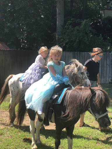Pony Rides & Petting Animals by JM Farms LLC