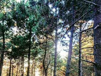 Göztepe Tabiat Parkı