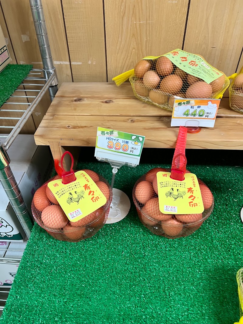 たまごの寿々卵 吉川商店