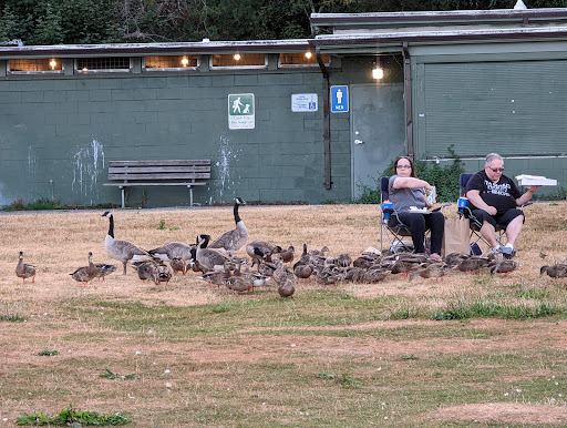 Park «Matthews Beach Park», reviews and photos, 5100 NE 93rd St, Seattle, WA 98115, USA