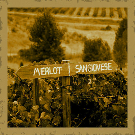 Wine Bar «Pozzuoli Vineyard & Winery», reviews and photos, 15481 Red Hill Ave, Tustin, CA 92780, USA