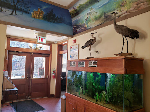 Learning Center «Trailside Museum of Natural History», reviews and photos, 738 Thatcher Ave, River Forest, IL 60305, USA