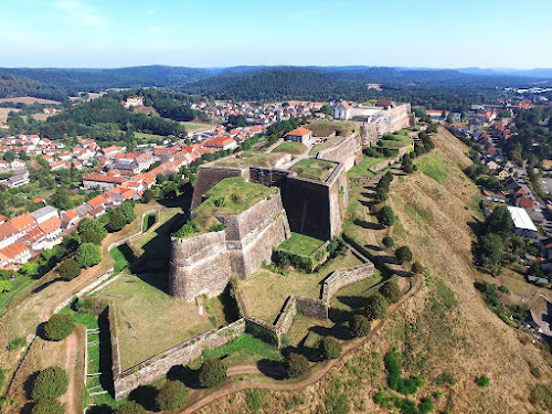 Marie La Fourmi Immo Päys de la Citadelle à Bitche