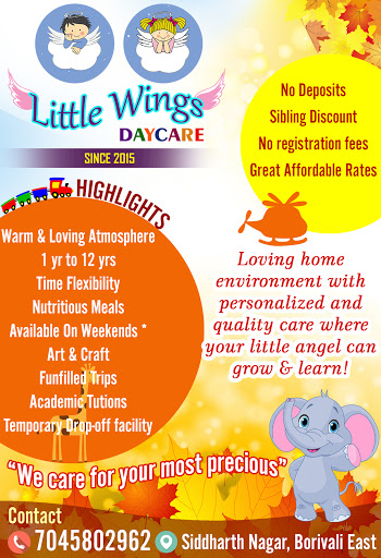 *Little Wings Daycare* Home based