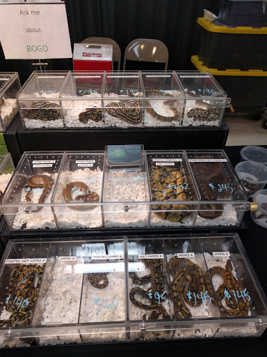 Fraternal Organization «Abou Ben Adhem Shrine Mosque», reviews and photos, 601 E St Louis St, Springfield, MO 65806, USA