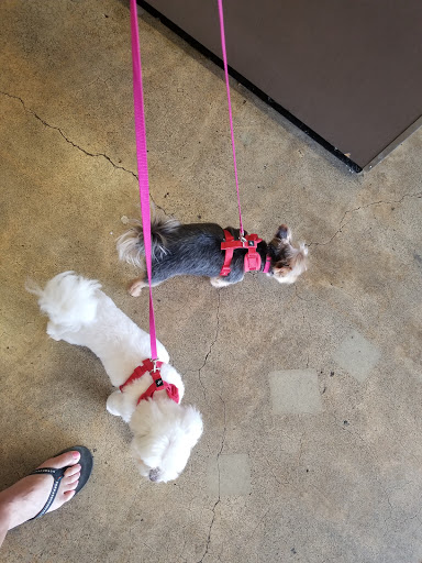 Pet Store «Super Pets», reviews and photos, 1807 E Chapman Ave, Orange, CA 92867, USA