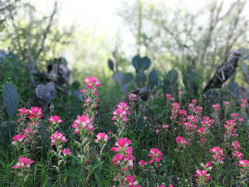 Nature Preserve «Jackson Nature Park», reviews and photos, 9284 County Rd 401, Stockdale, TX 78160, USA