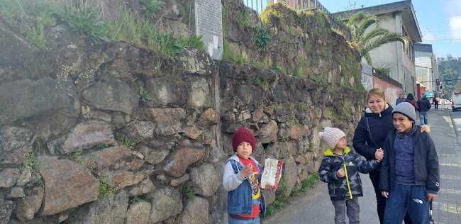 Opiniones de Ruinas del Muro de Piedra del Convento De La Merced en Concepción - Museo