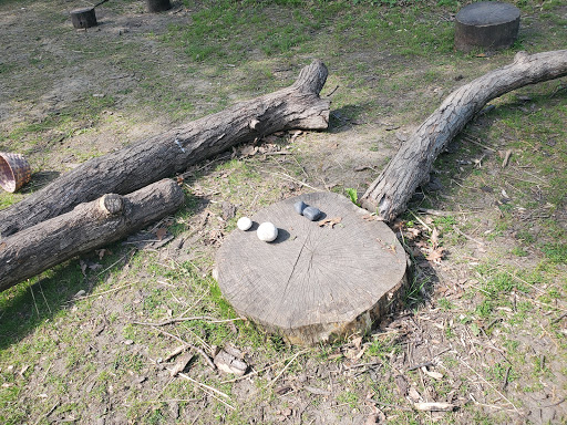 Learning Center «Trailside Museum of Natural History», reviews and photos, 738 Thatcher Ave, River Forest, IL 60305, USA