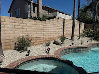 New Image Tree Care - Photo 3 - Car repair in Corona, CA, Corona