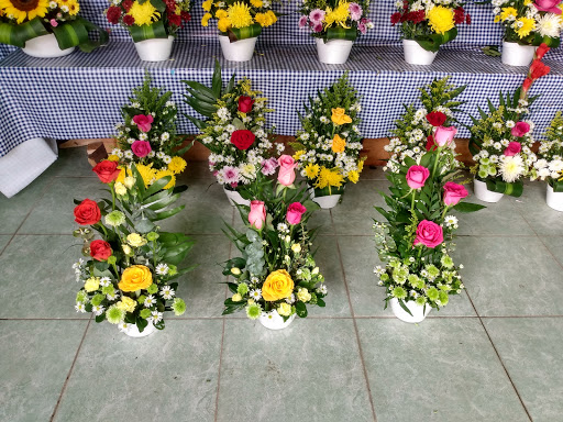 Floreria casa blanca florería en  en la zona Centro