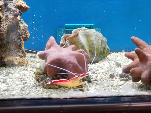 Pet Supply Store «Petco Animal Supplies», reviews and photos, 22000 Dulles Retail Plaza #110, Sterling, VA 20166, USA