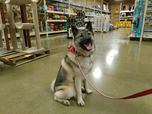 Pet Supply Store «PetSmart», reviews and photos, 4200 Derry St, Harrisburg, PA 17111, USA