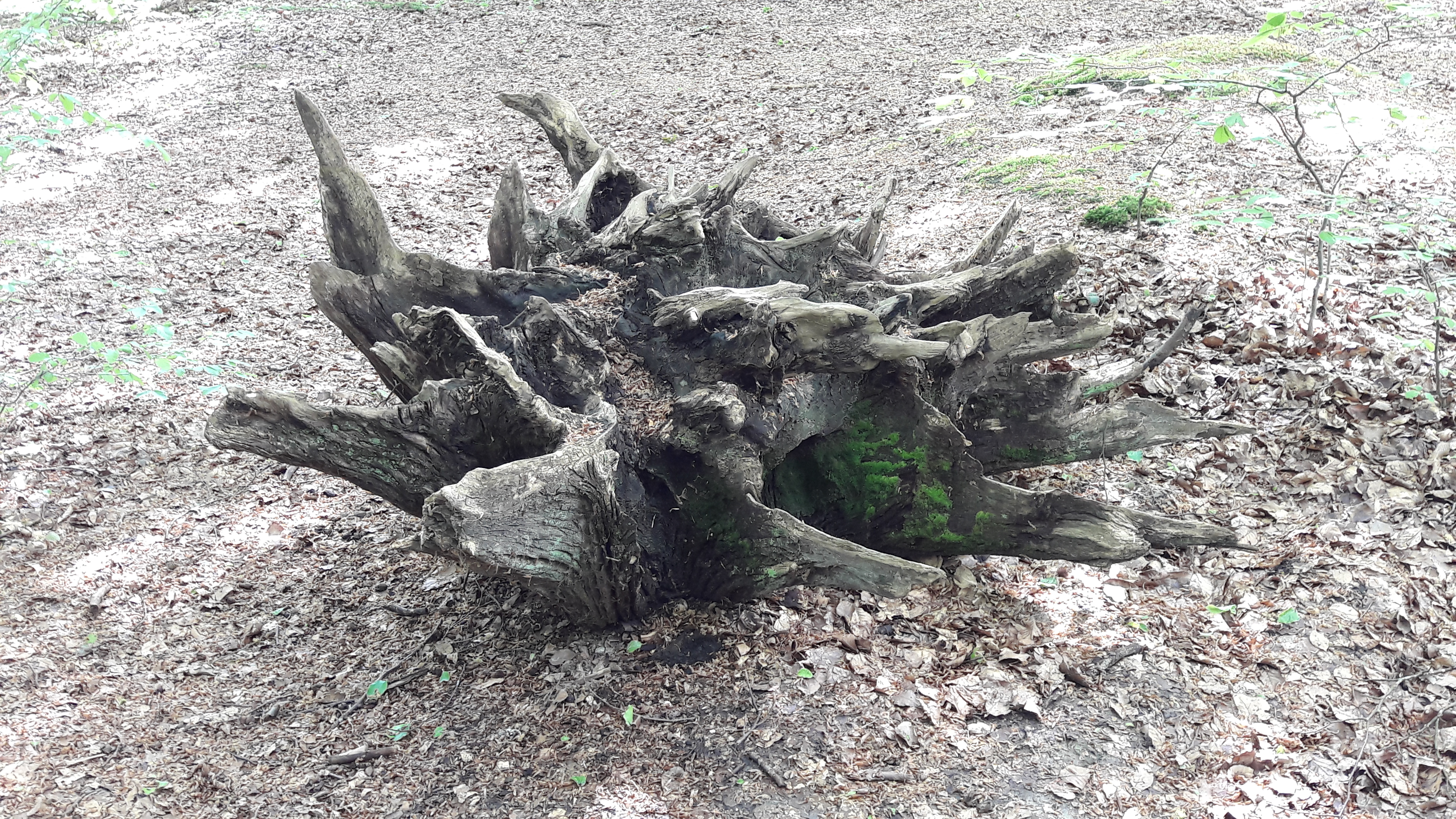 Photo n° 7 de l'avis de Lulu.o fait le 05/05/2018 à 16:53