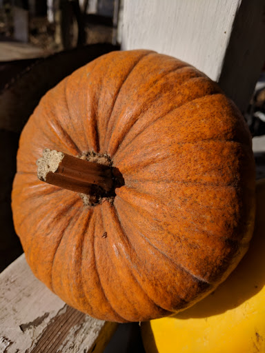 Carpet Store «Ginger Blossom», reviews and photos, 3016 IL-173, Richmond, IL 60071, USA