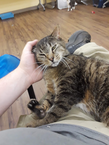 Pet Supply Store «PetPeople», reviews and photos, 3330 Washtenaw Ave, Ann Arbor, MI 48104, USA