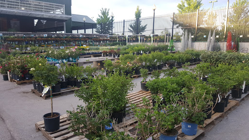 Home Improvement Store «Menards», reviews and photos, 11357 N Linden Rd, Clio, MI 48420, USA