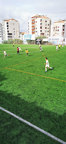 CF Estrela da Amadora, Sad