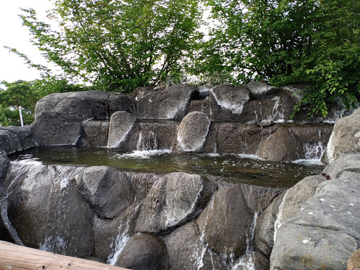 Pizza Restaurant «Roaring Rapids Pizza Company», reviews and photos, 4006 Franklin Blvd, Eugene, OR 97403, USA