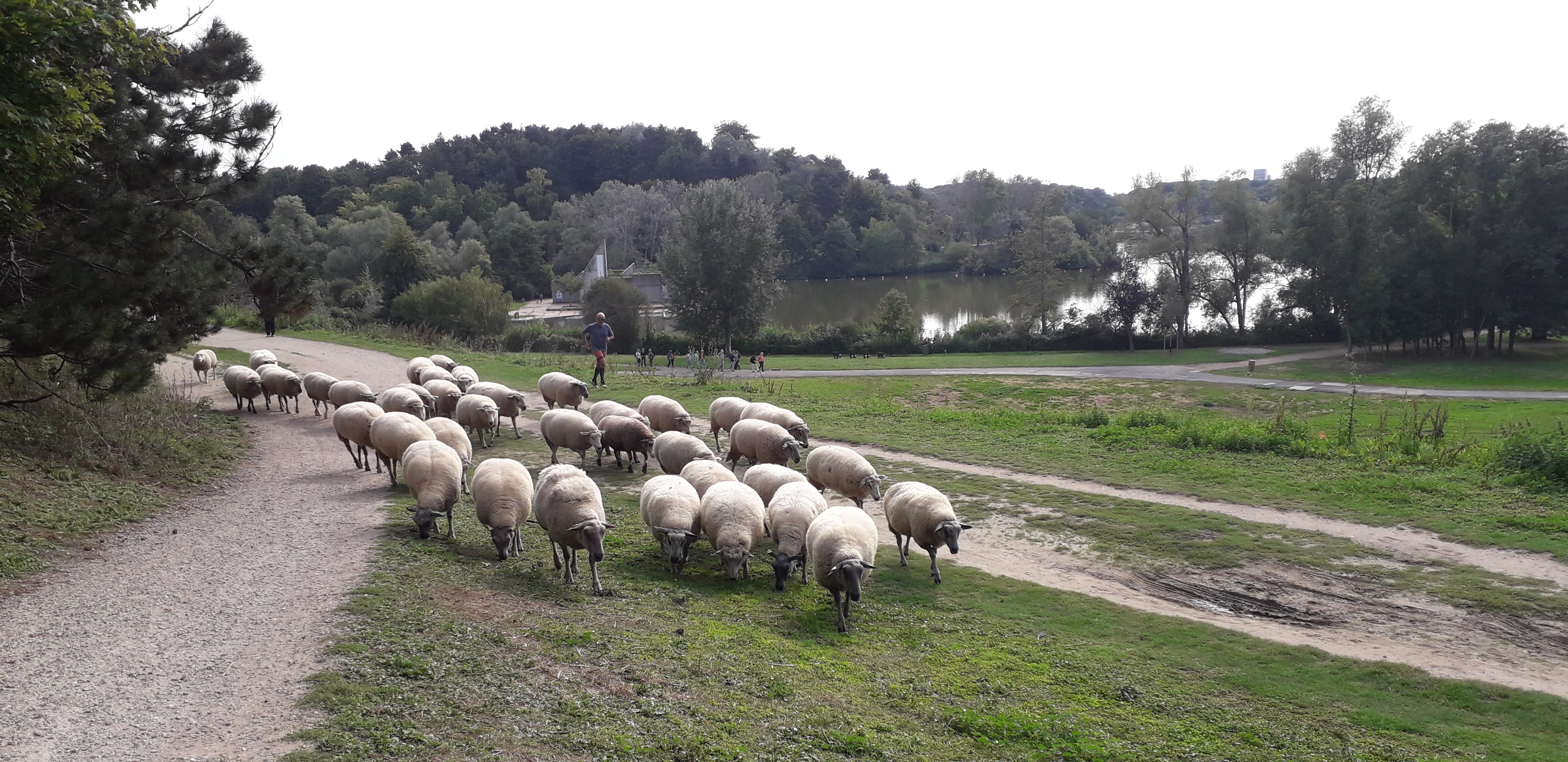 Photo n° 6 de l'avis de Max.u fait le 14/08/2019 à 17:42