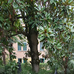 Photo n°2 de l'avis de Pál.l fait le 20/04/2024 à 17:57 sur le  Hotel Villa Pannonia à Lido