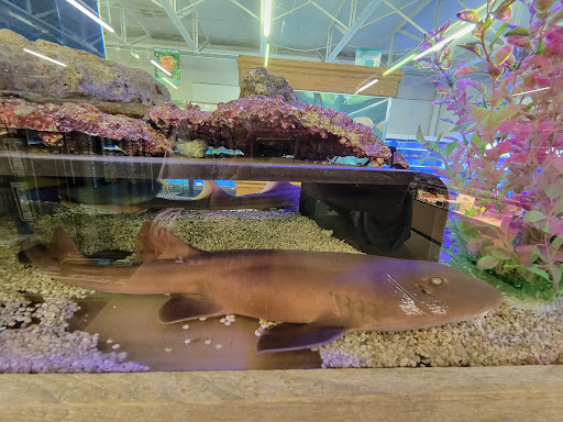 Pet Store «The Pet Zone», reviews and photos, 20 W Oak St, Pittston, PA 18640, USA