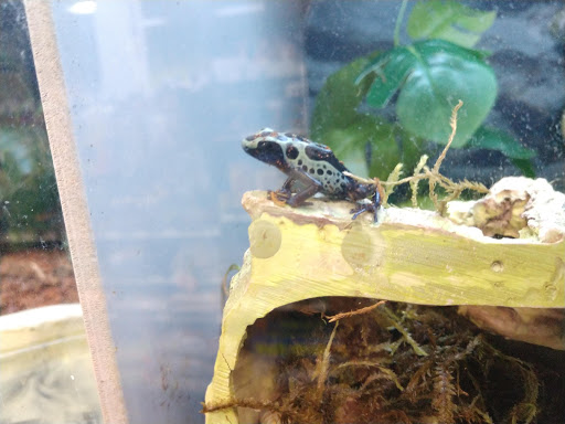 Pet Supply Store «Petco Animal Supplies», reviews and photos, 7215 170th Ave NE #115, Redmond, WA 98052, USA