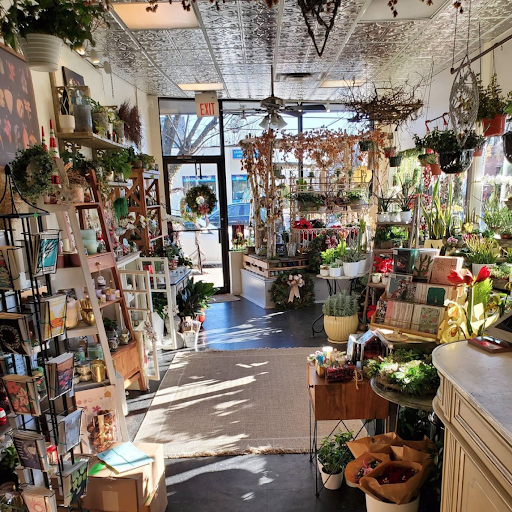 Florist «Providence Florist - Blooming Blossoms», reviews and photos, 780 Hope St, Providence, RI 02906, USA