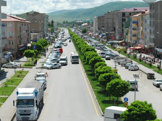 Bitlis Valiligi Hükümet Konağı