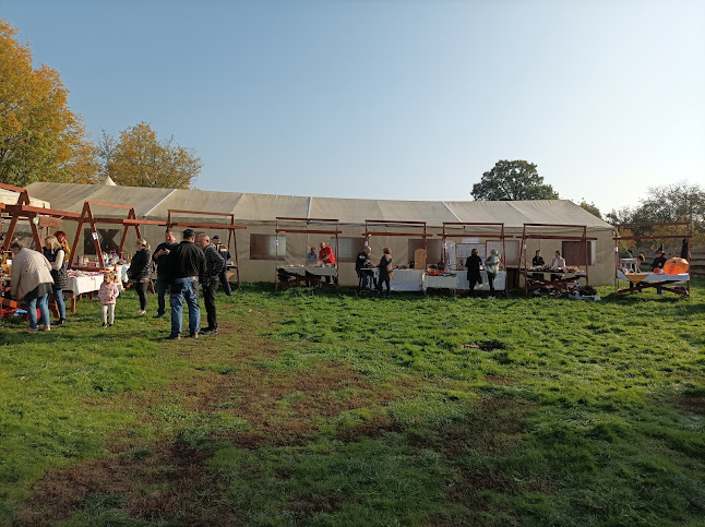 Telefonszám: Tradíció Folk Kft