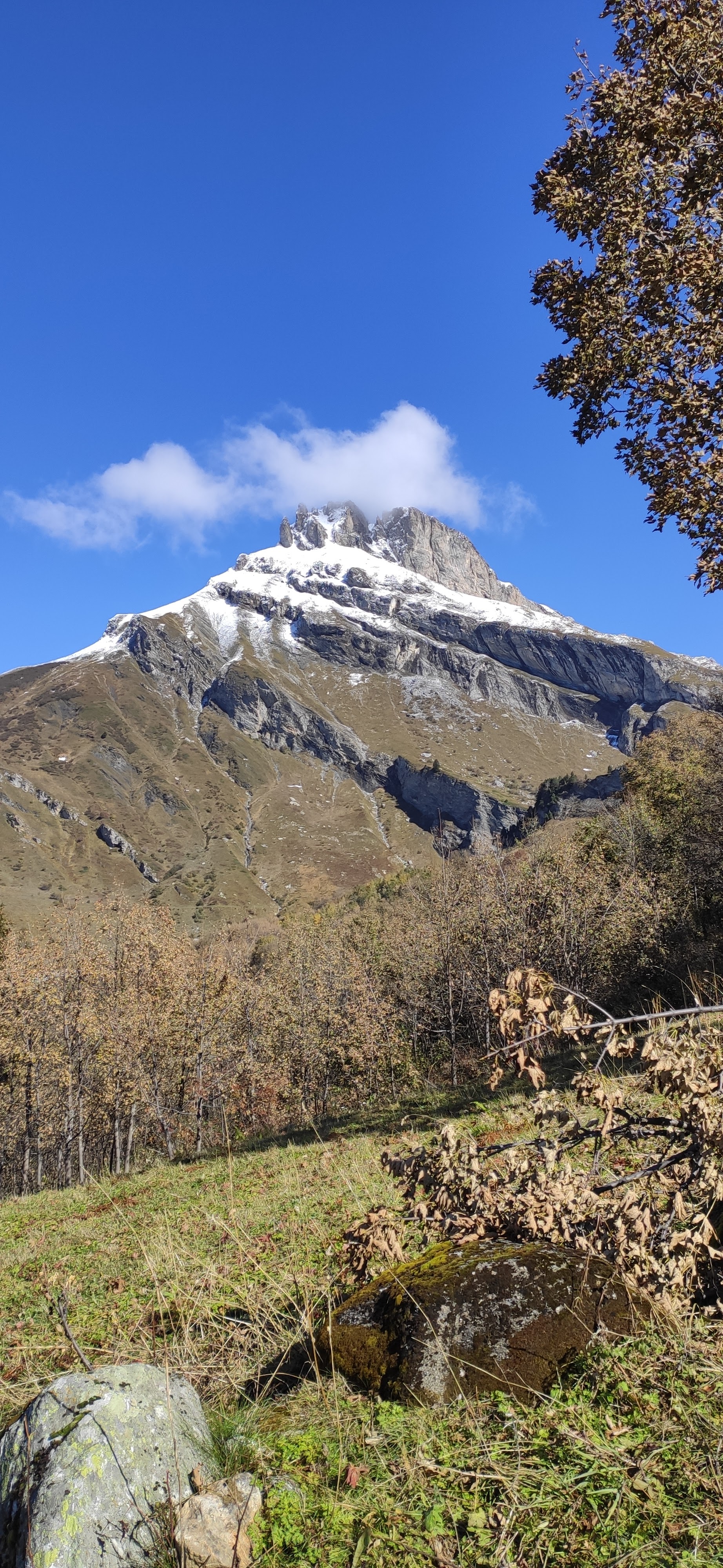 Photo n° 2 de l'avis de Fabio.E fait le 17/10/2020 à 17:12