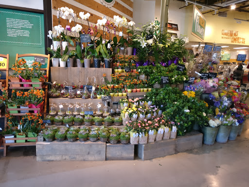 Grocery Store «Whole Foods Market», reviews and photos, 2151 Mystic Valley Pkwy, Medford, MA 02155, USA