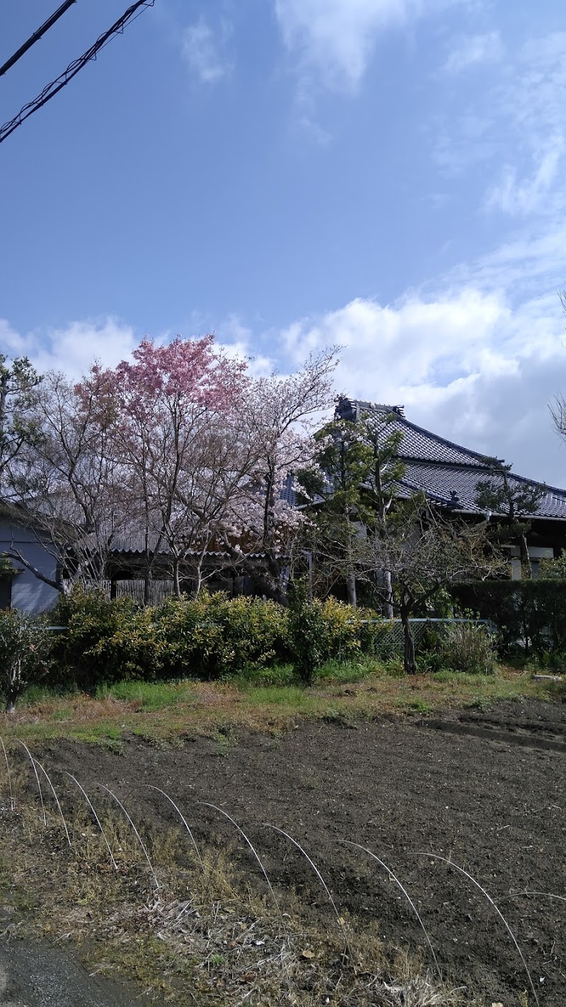 長宝寺